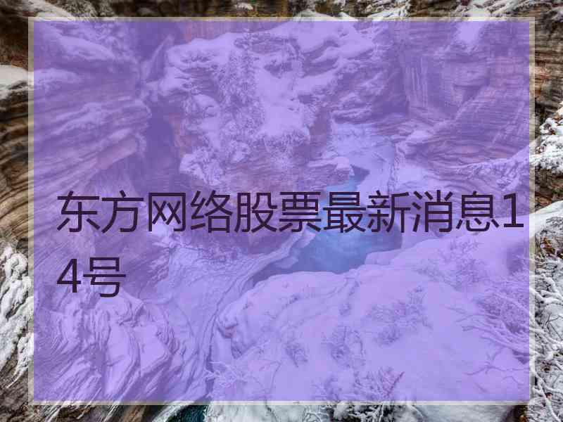 东方网络股票最新消息14号