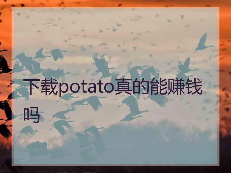 下载potato真的能赚钱吗