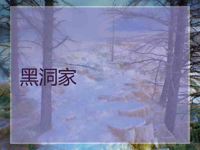 黑洞家