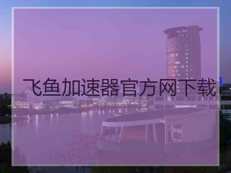 飞鱼加速器官方网下载