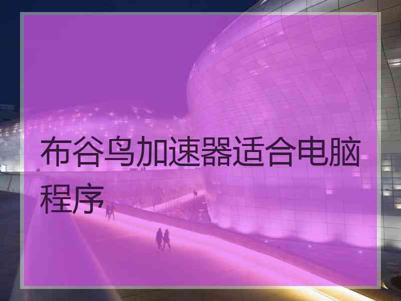 布谷鸟加速器适合电脑程序