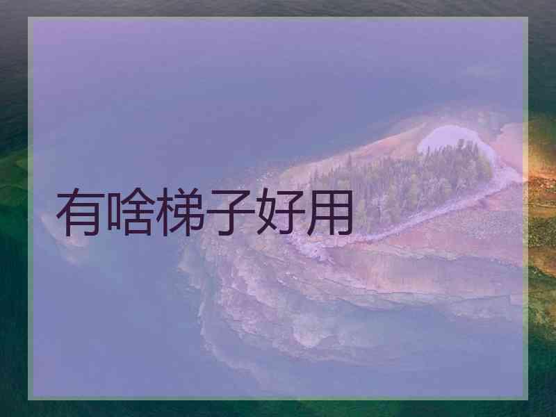 有啥梯子好用