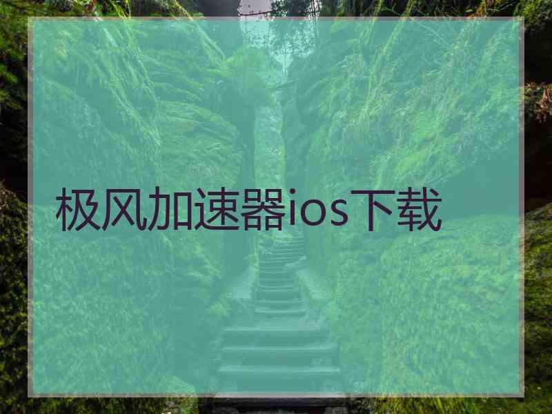 极风加速器ios下载