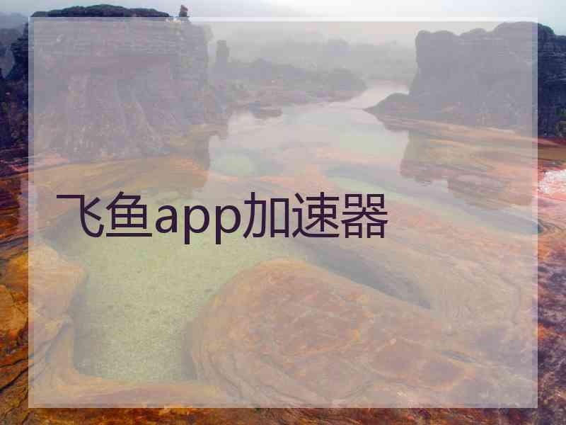 飞鱼app加速器