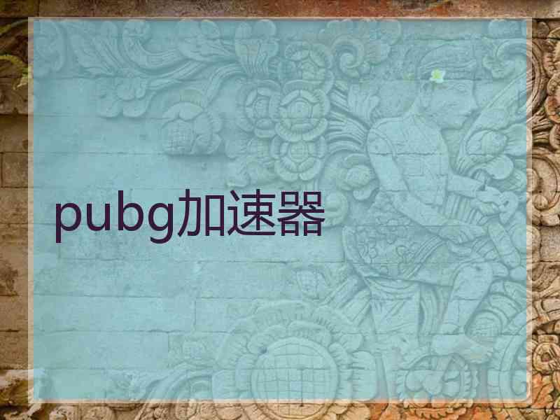 pubg加速器