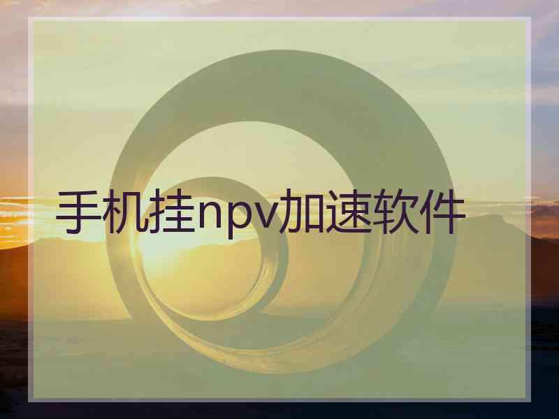 手机挂npv加速软件
