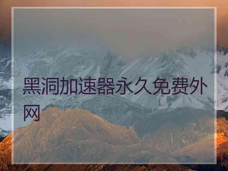 黑洞加速器永久免费外网