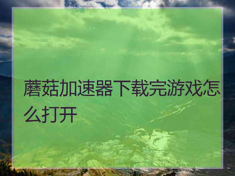 蘑菇加速器下载完游戏怎么打开