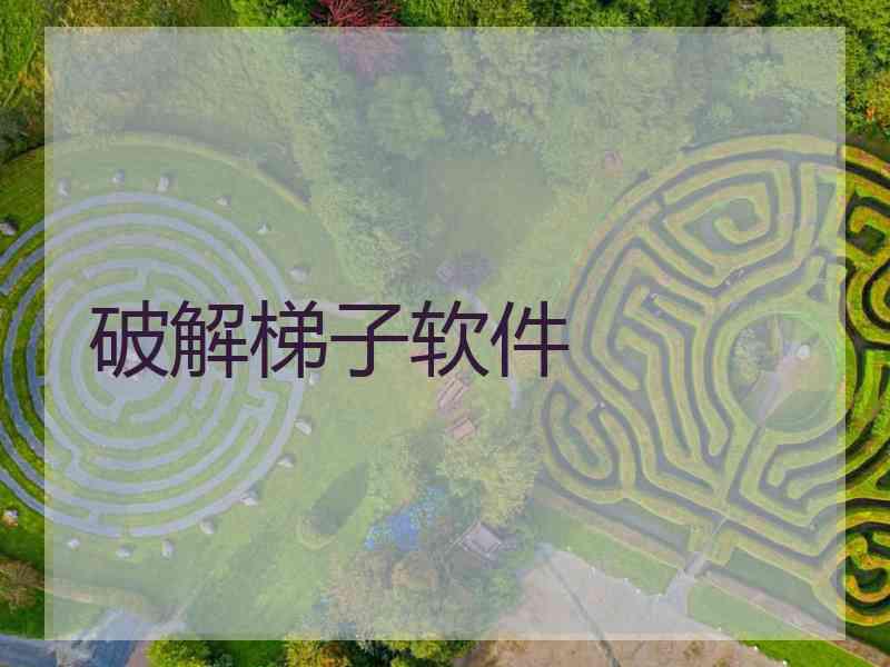 破解梯子软件