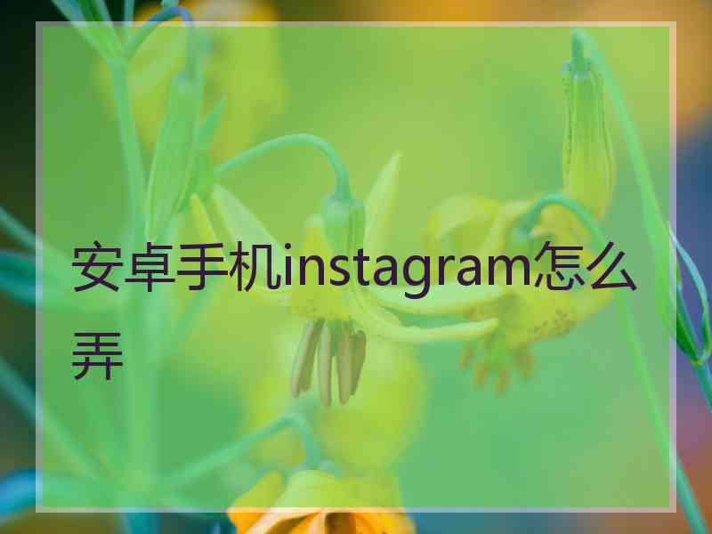 安卓手机instagram怎么弄