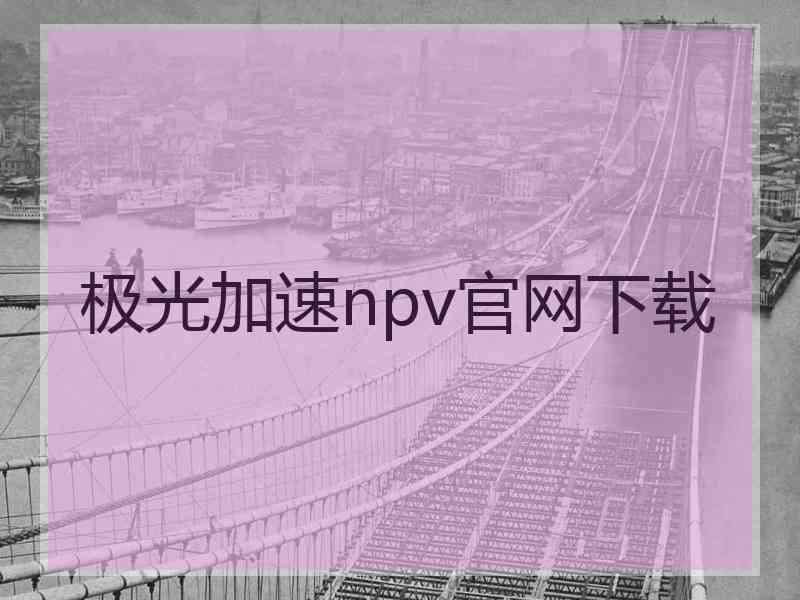 极光加速npv官网下载