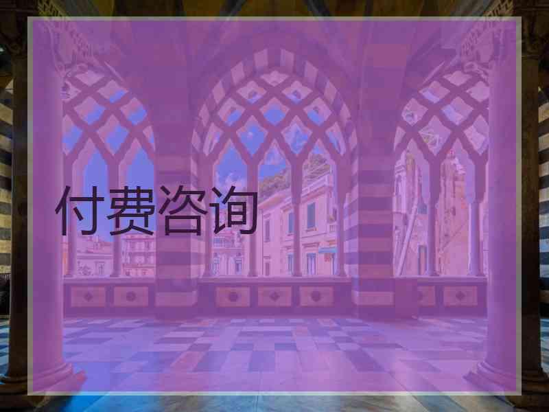 付费咨询