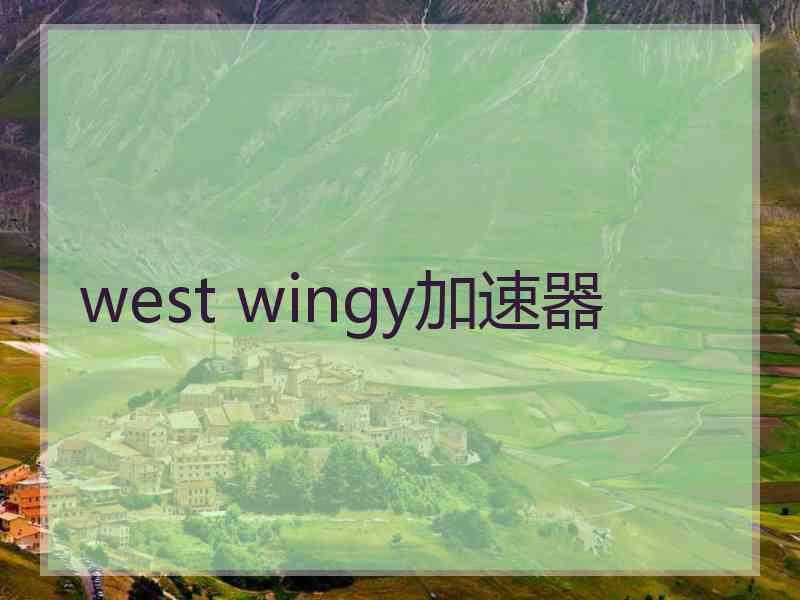 west wingy加速器