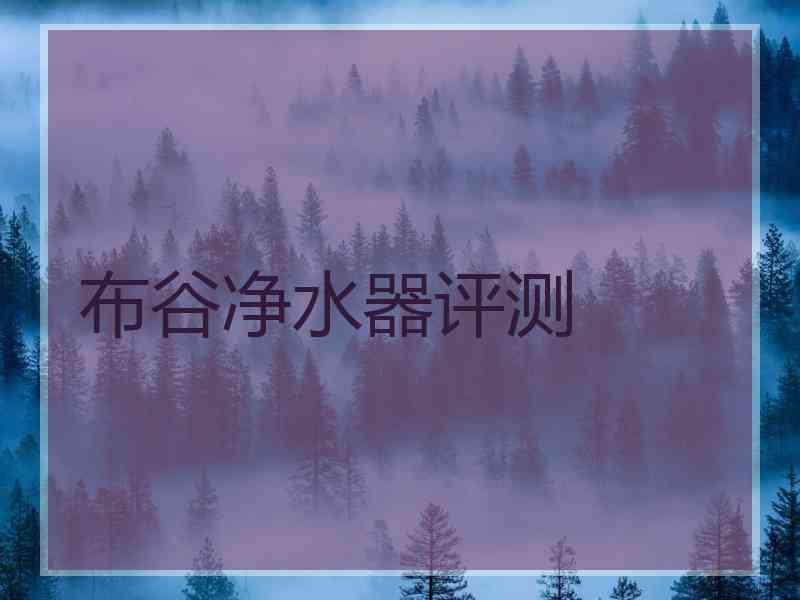 布谷净水器评测
