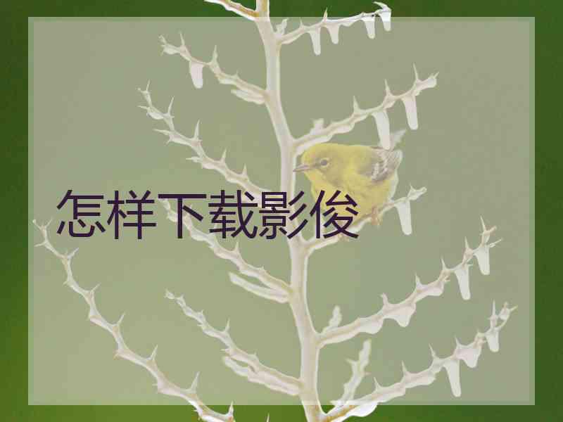 怎样下载影俊