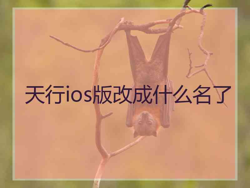 天行ios版改成什么名了