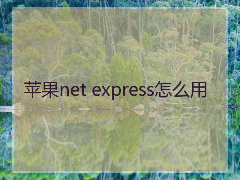 苹果net express怎么用