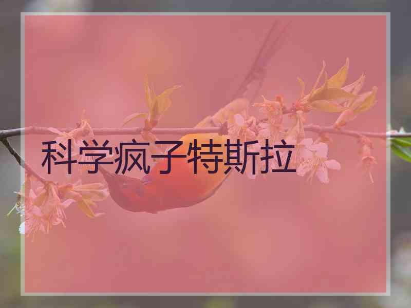 科学疯子特斯拉