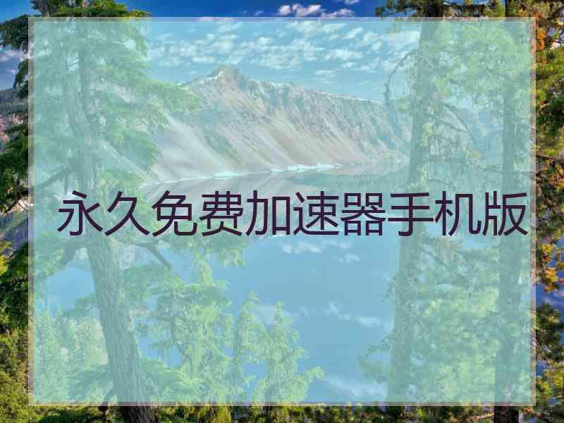 永久免费加速器手机版