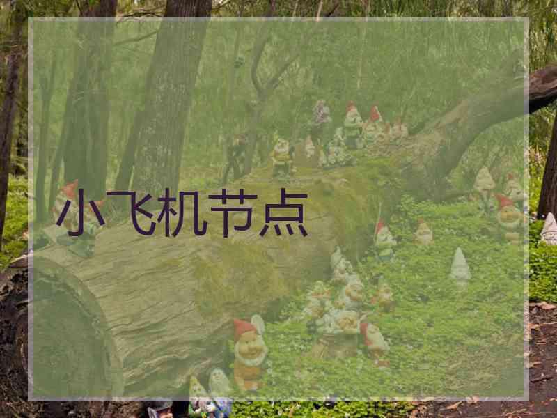小飞机节点