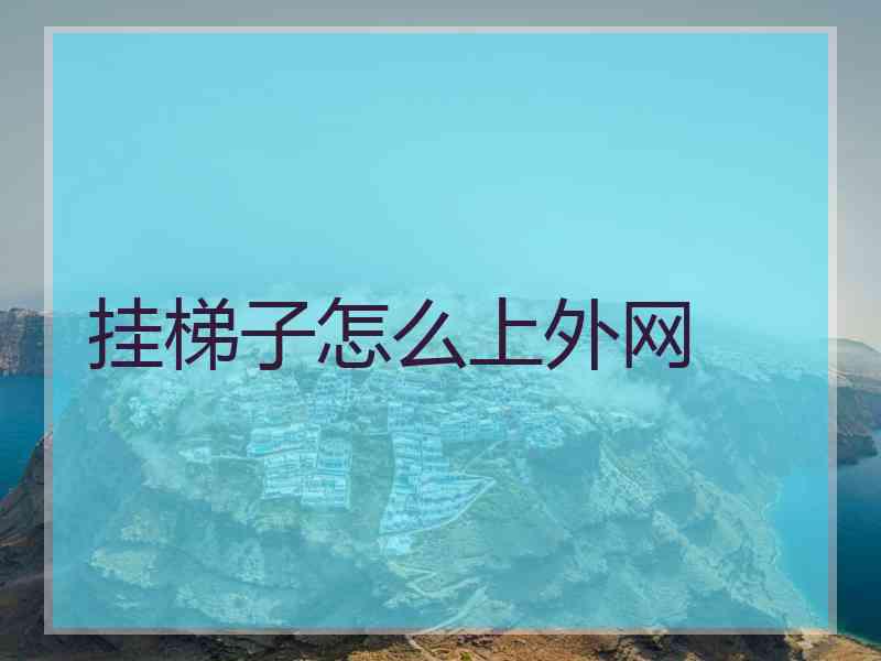 挂梯子怎么上外网