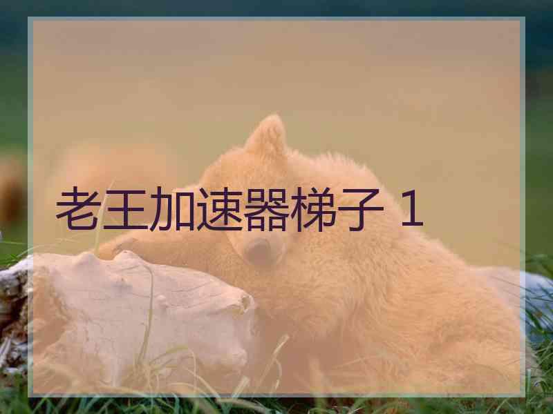 老王加速器梯子 1