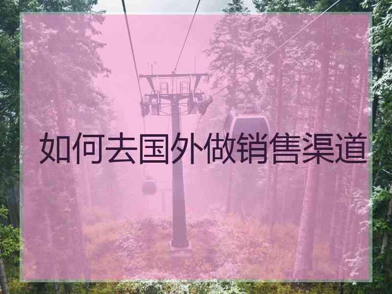 如何去国外做销售渠道