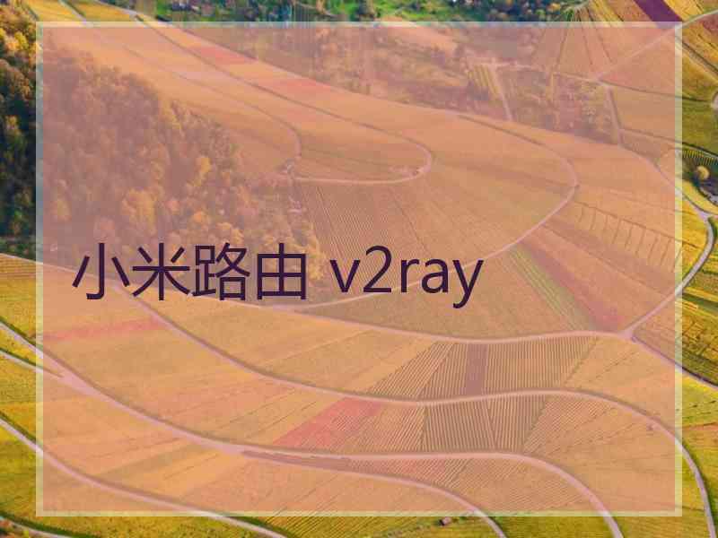 小米路由 v2ray