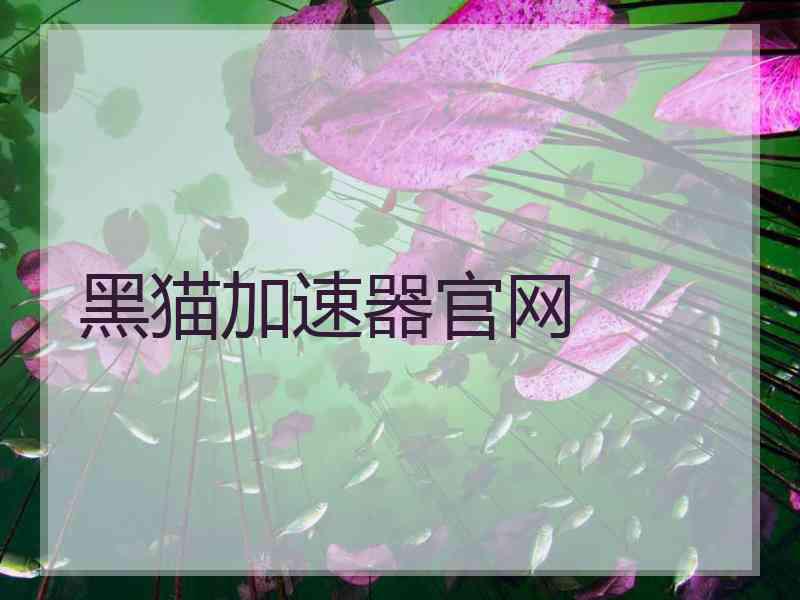 黑猫加速器官网