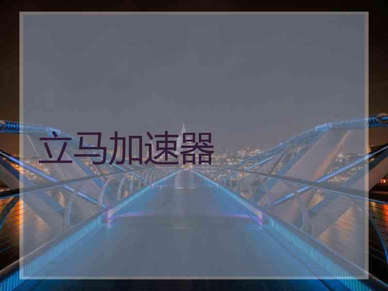立马加速器