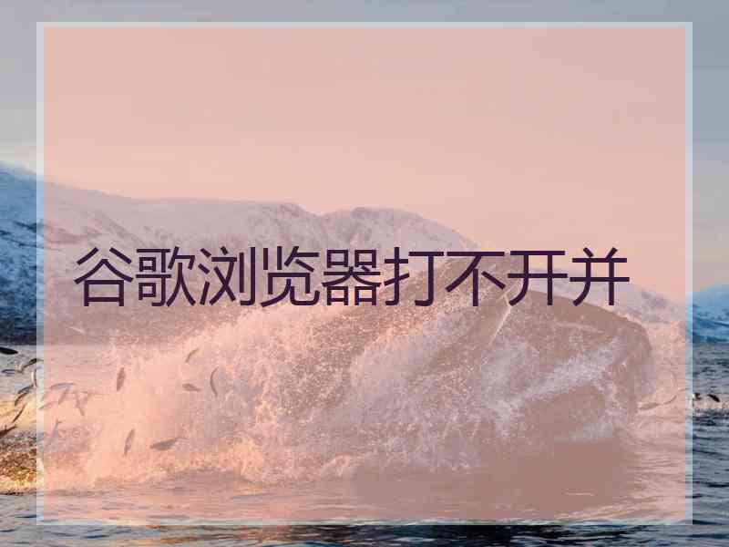 谷歌浏览器打不开并