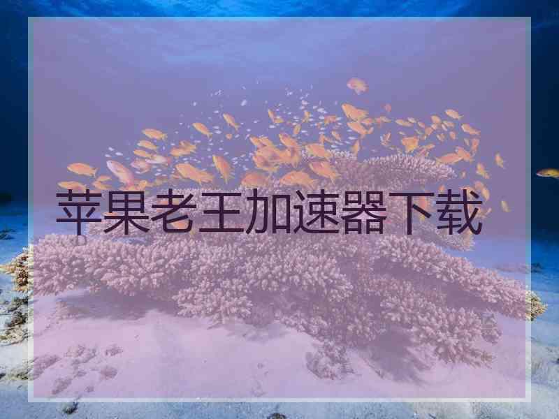 苹果老王加速器下载