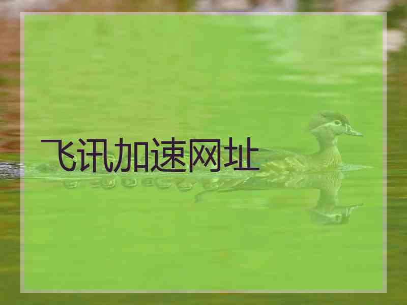 飞讯加速网址