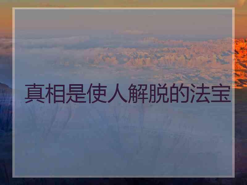 真相是使人解脱的法宝