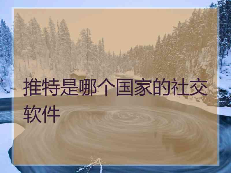 推特是哪个国家的社交软件