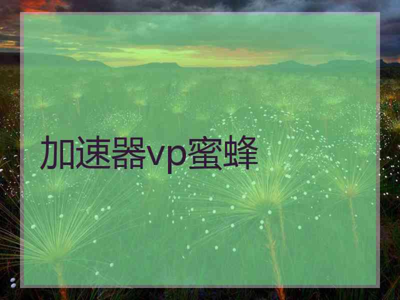 加速器vp蜜蜂