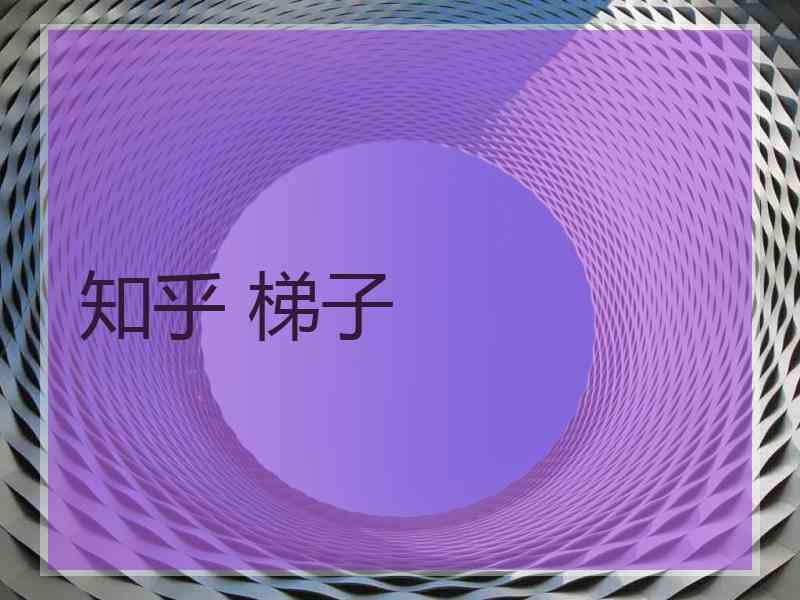 知乎 梯子