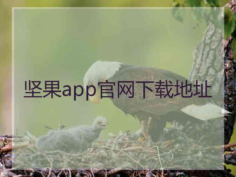坚果app官网下载地址