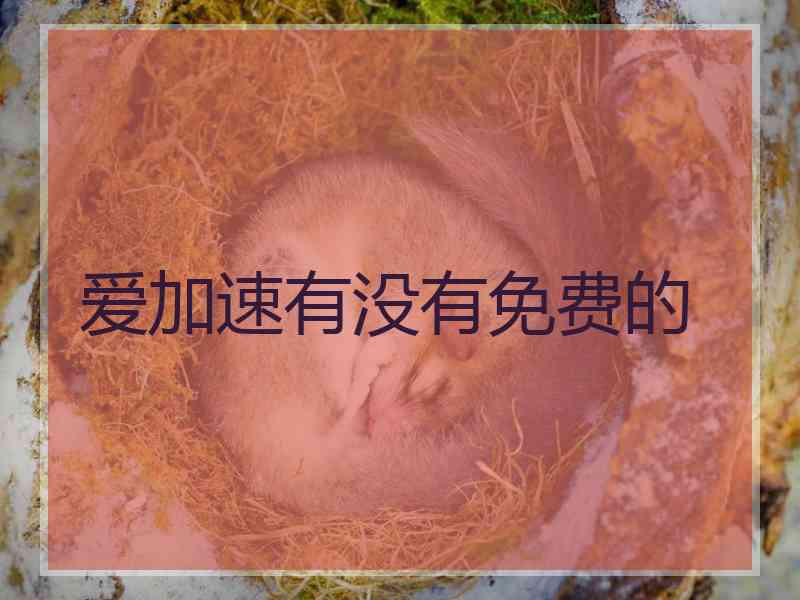 爱加速有没有免费的