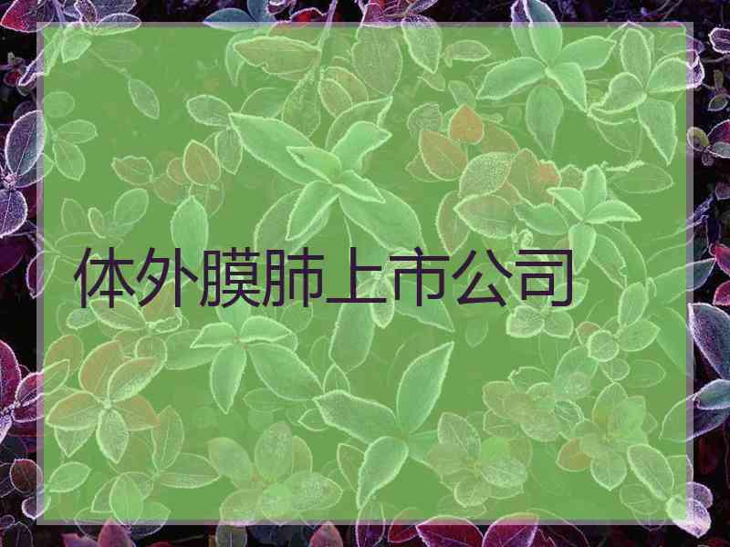 体外膜肺上市公司