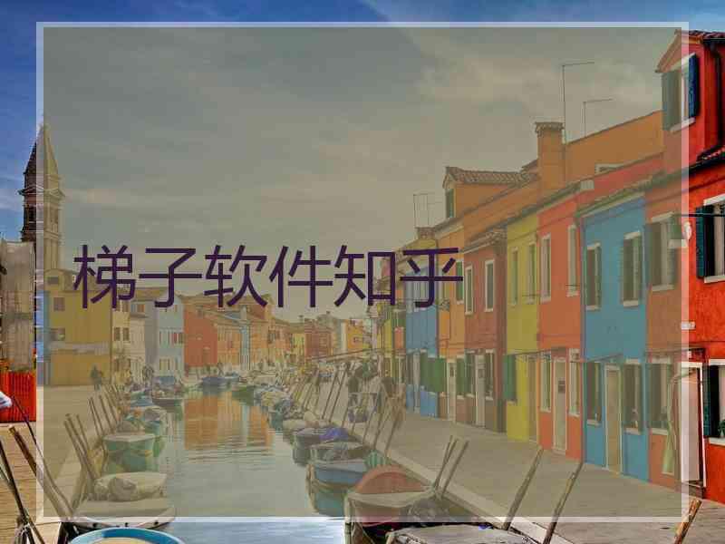 梯子软件知乎