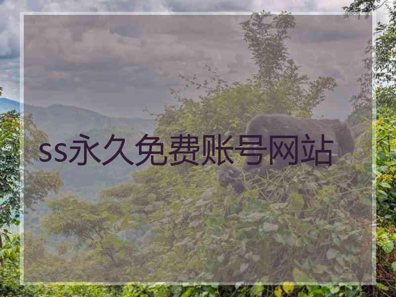 ss永久免费账号网站
