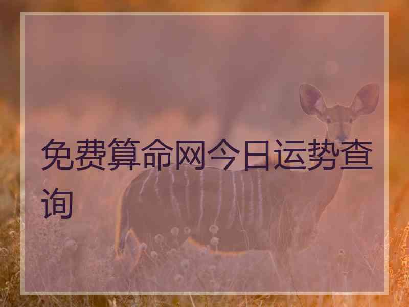 免费算命网今日运势查询