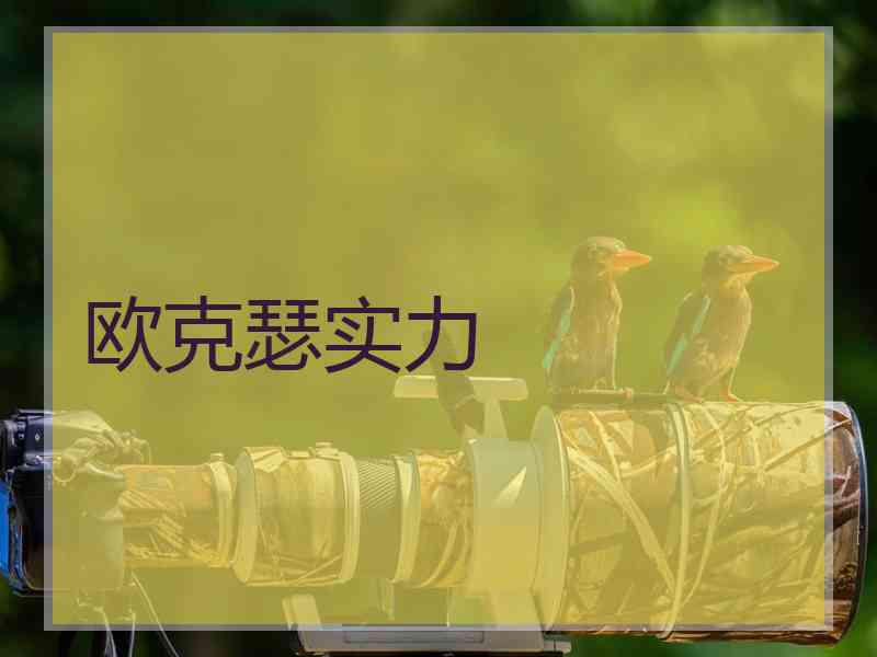 欧克瑟实力