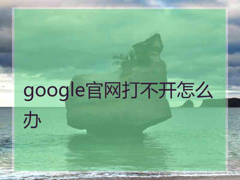 google官网打不开怎么办