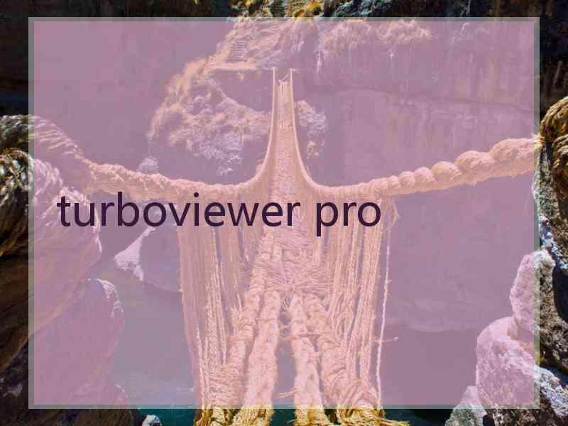 turboviewer pro