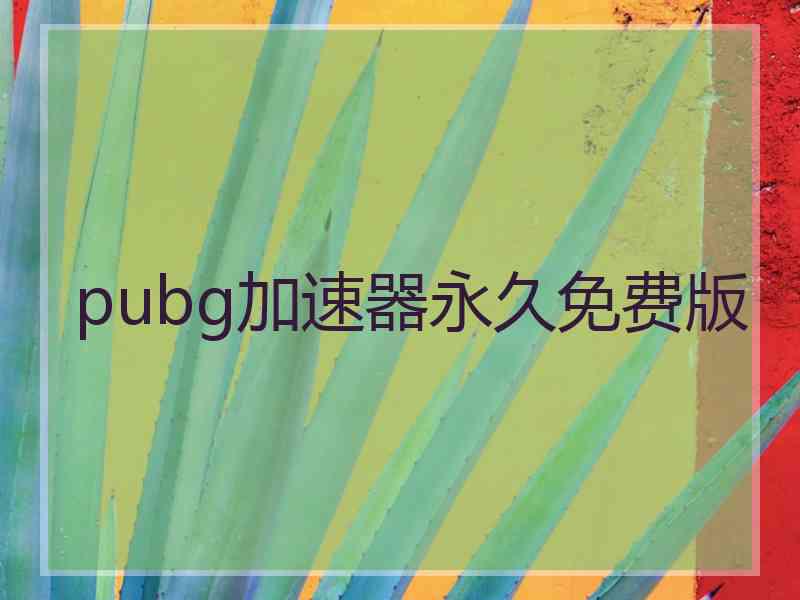 pubg加速器永久免费版