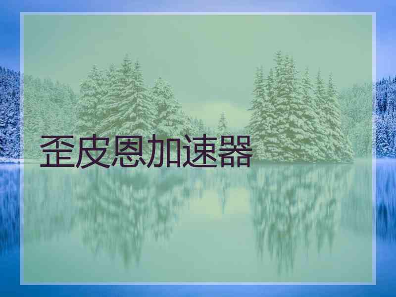 歪皮恩加速器