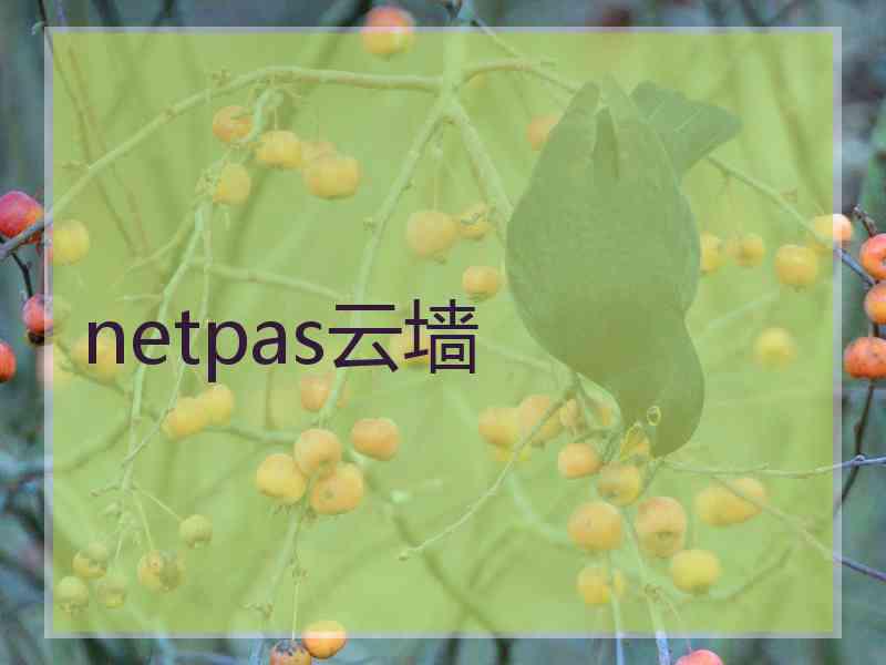 netpas云墙