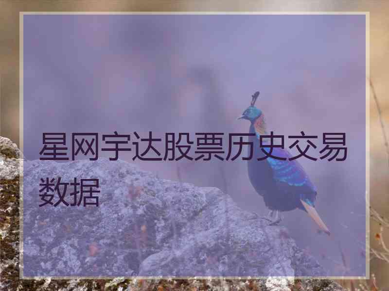 星网宇达股票历史交易数据